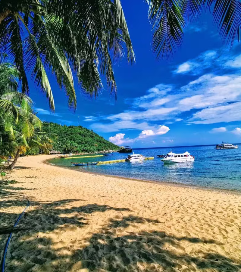 Explore & Unwind – Cu Lao Cham Private Yacht Experience