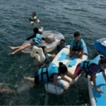 danangyacht (2) Yacht Charter Da Nang with Children